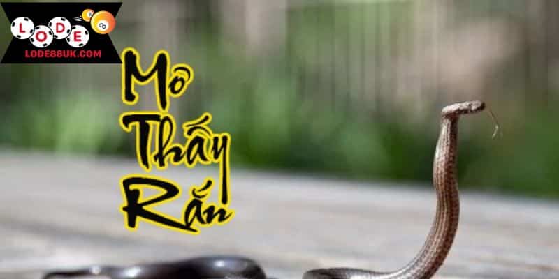 Giải mã các giấc mơ thấy rắn phổ biến nhất